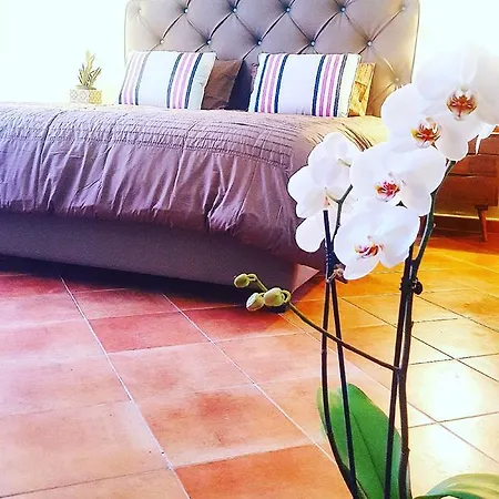 Prázdninový dům Estate4home - Henry House