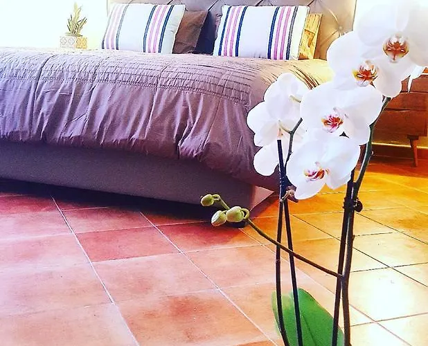 Сasa de vacaciones Estate4home - Henry House